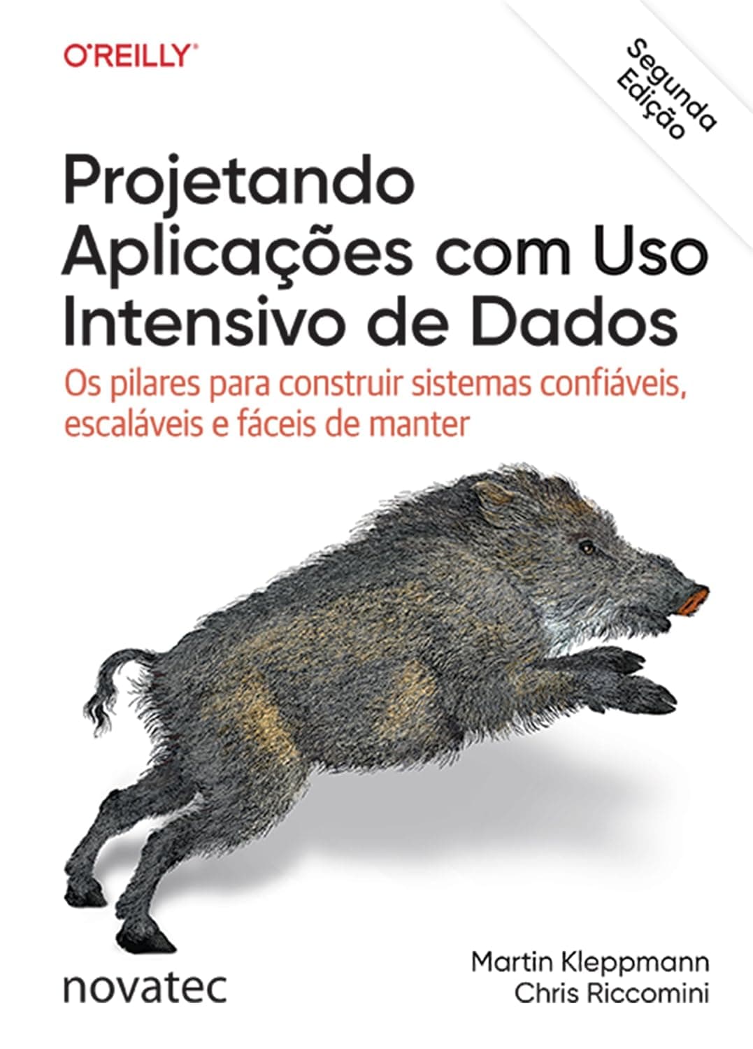 Capa do livro Projetando Aplicações com Uso Intensivo de Dados